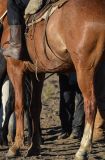 20120212-AJS_6166.jpg